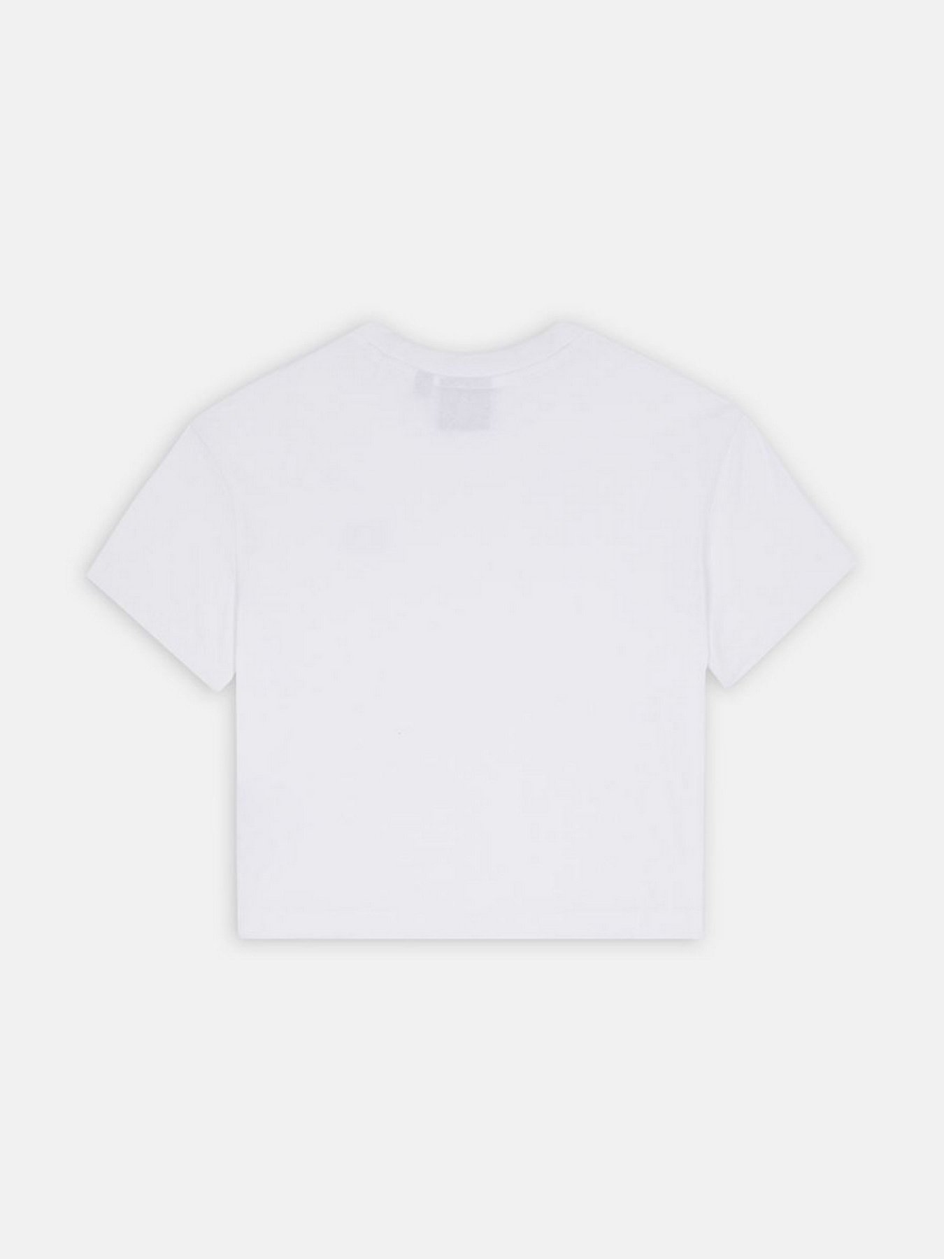 Футболка Dickies Oakport Cropped Boxy Модель DK0A4Y8LWHX1 Фото