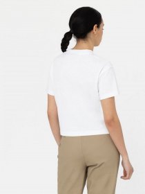 Футболка Dickies Oakport Cropped Boxy Модель DK0A4Y8LWHX1 Фото