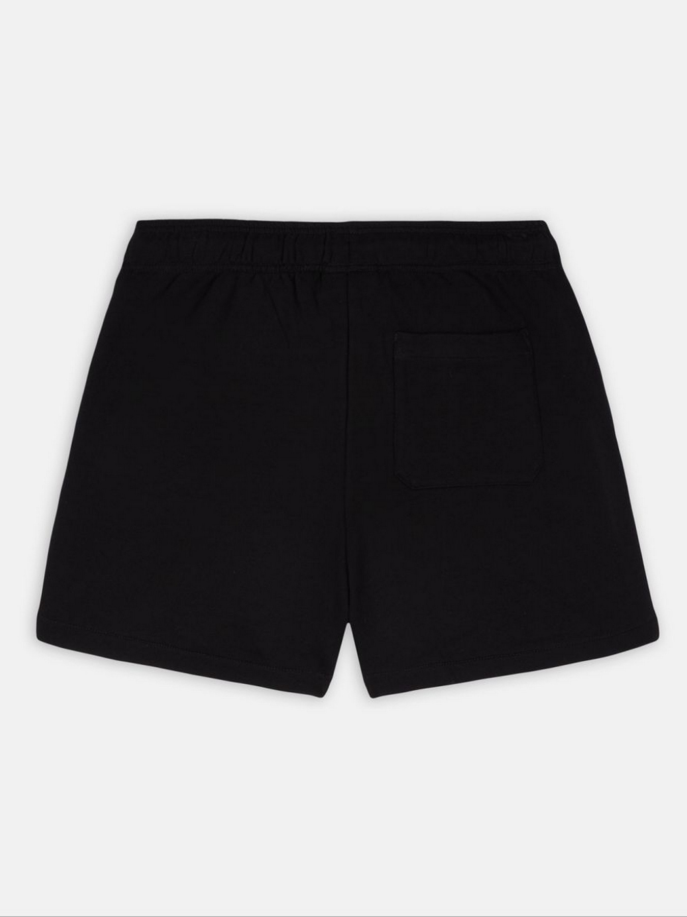 Шорты Dickies Mapleton модель DK0A4YB6BLK1 Фото