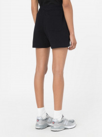 Шорты Dickies Mapleton модель DK0A4YB6BLK1 Фото