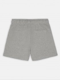 Шорты Dickies Mapleton модель DK0A4YB6GYM1 Фото