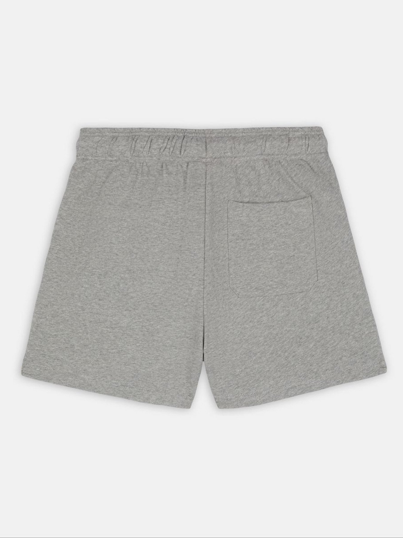 Повсякденні шорти Dickies Mapleton модель DK0A4YB6GYM1 Фото