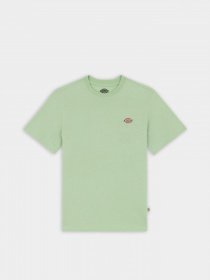 Футболка Dickies Mapleton модель DK0A4XDAF921 Фото
