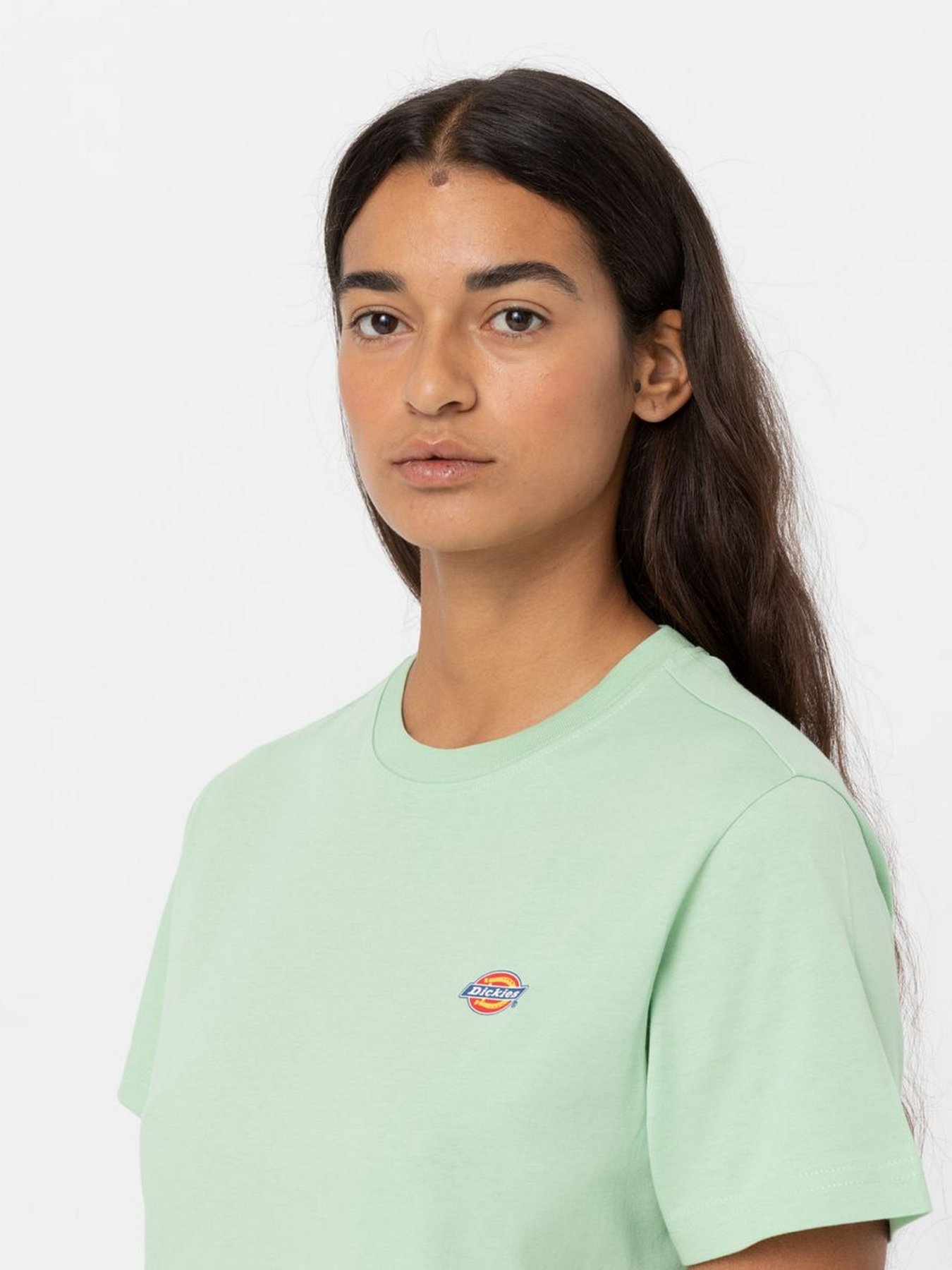 Футболка Dickies Mapleton модель DK0A4XDAF921 Фото