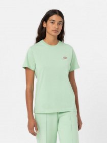 Футболка Dickies Mapleton модель DK0A4XDAF921 Фото