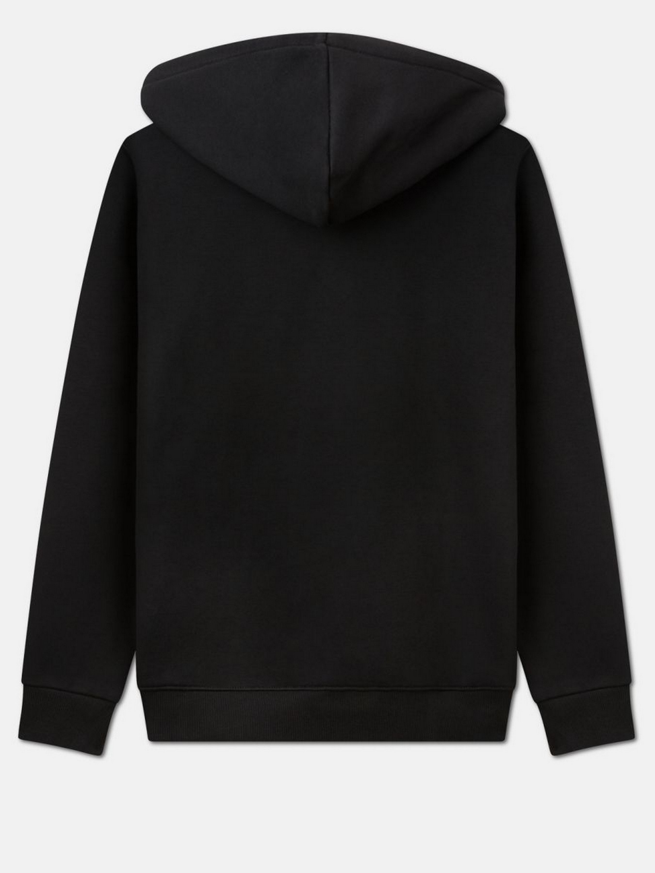 Худи Dickies Icon Logo модель DK0A4XCCBLK1 Фото