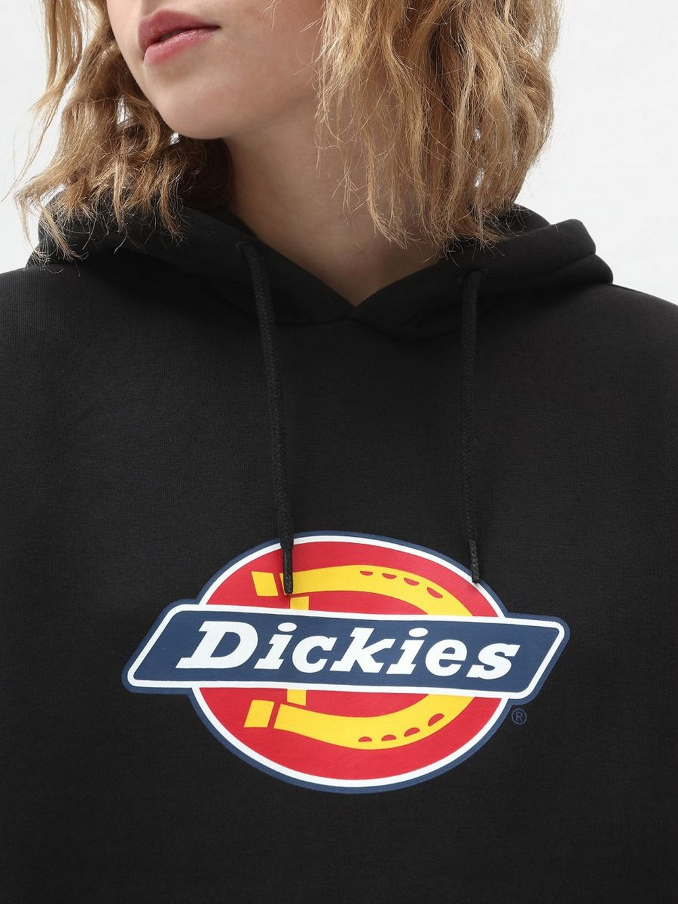 Худі Dickies Icon Logo модель DK0A4XCCBLK1 Фото