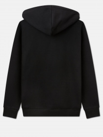 Худі Dickies Icon Logo модель DK0A4XCCBLK1 Фото