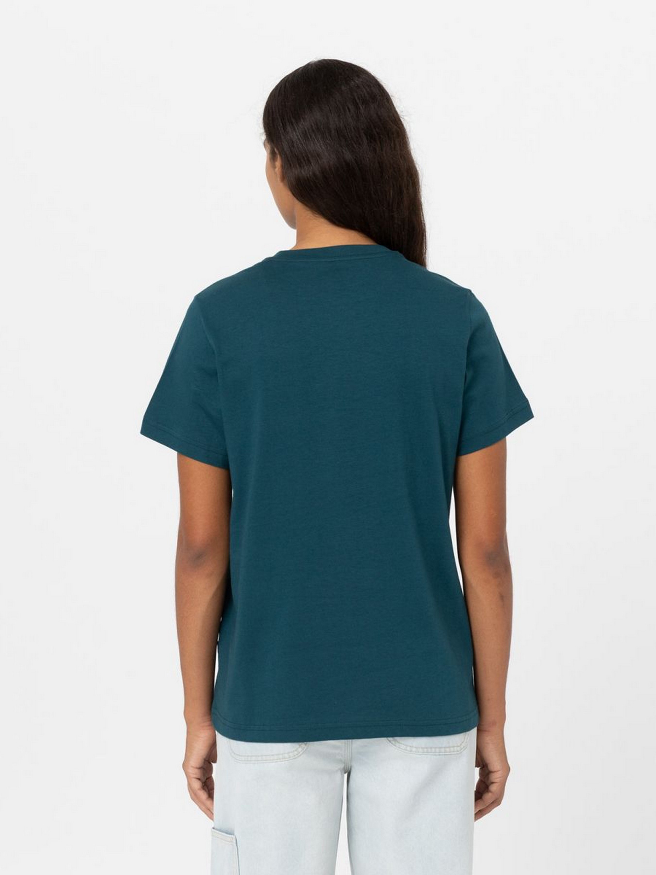 Футболка Dickies Mapleton модель DK0A4XDAF971 Фото