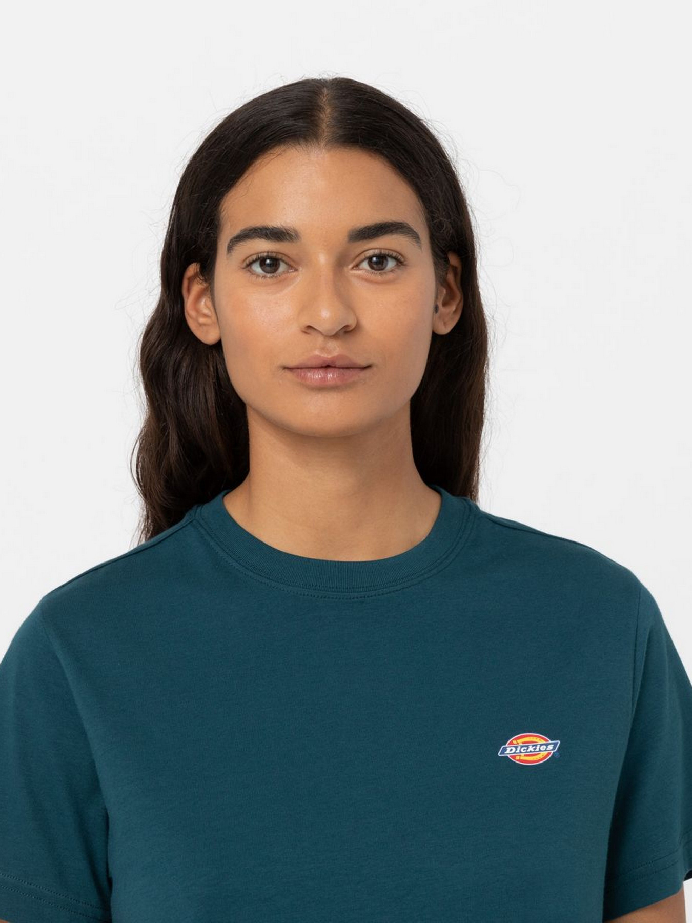 Футболка Dickies Mapleton модель DK0A4XDAF971 Фото