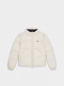 Зимова куртка Dickies Alatna модель DK0A4XP3F901 Фото