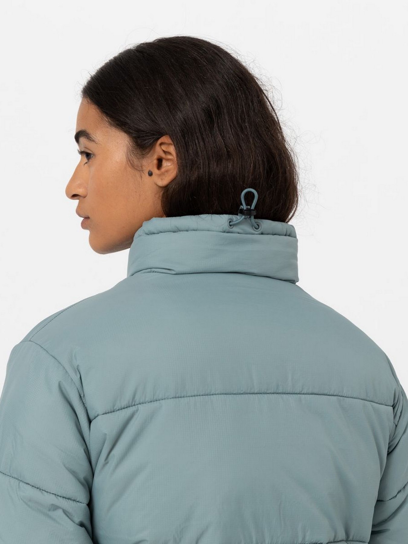 Зимова куртка Dickies Alatna модель DK0A4XP3G071 Фото