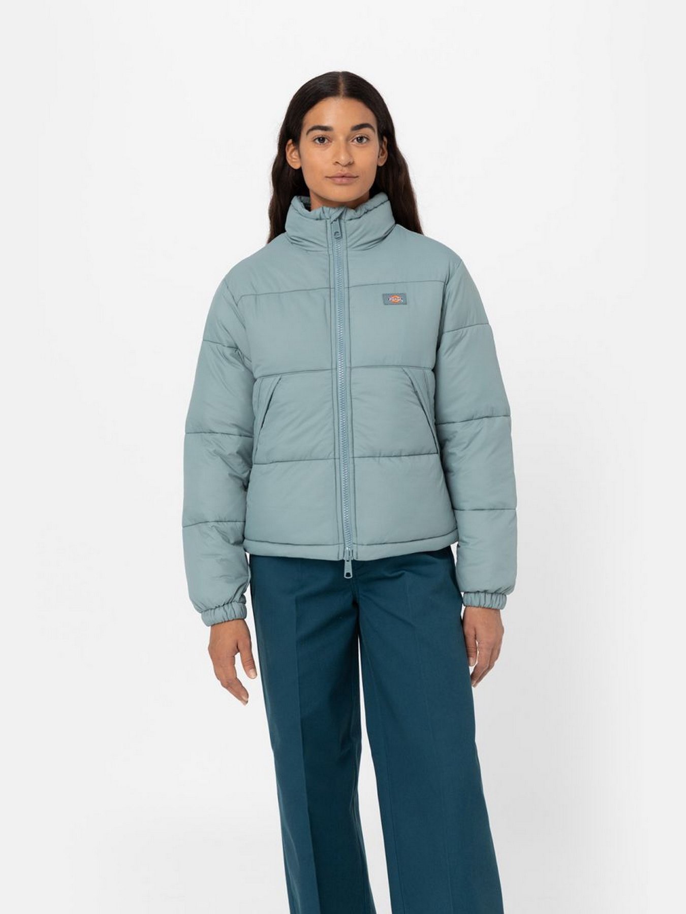 Зимова куртка Dickies Alatna модель DK0A4XP3G071 Фото