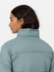 Зимова куртка Dickies Alatna модель DK0A4XP3G071 Фото