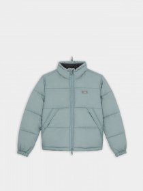 Зимова куртка Dickies Alatna модель DK0A4XP3G071 Фото