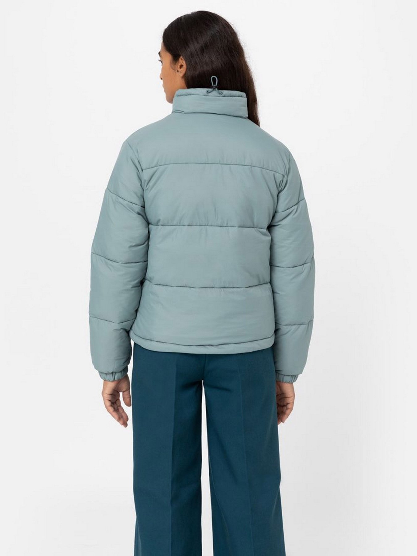 Зимова куртка Dickies Alatna модель DK0A4XP3G071 Фото