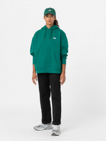 Худи Dickies Summerdale модель DK0A4XYWF961 Фото