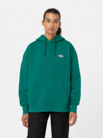 Худи Dickies Summerdale модель DK0A4XYWF961 Фото