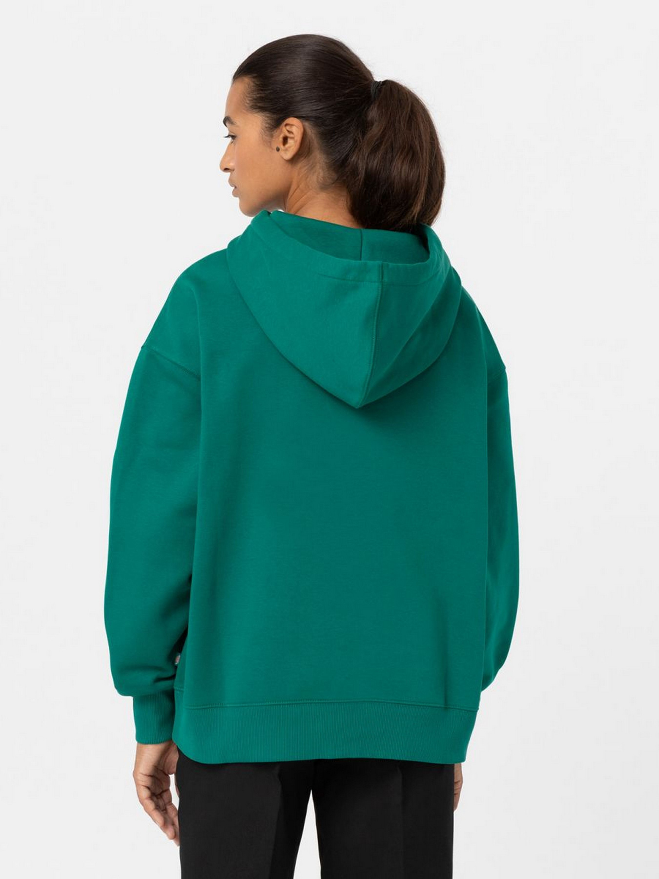 Худи Dickies Summerdale модель DK0A4XYWF961 Фото