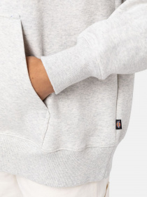 Худі Dickies Summerdale модель DK0A4XYWA281 Худі Dickies Summerdale модель DK0A4XYWA281 Фото