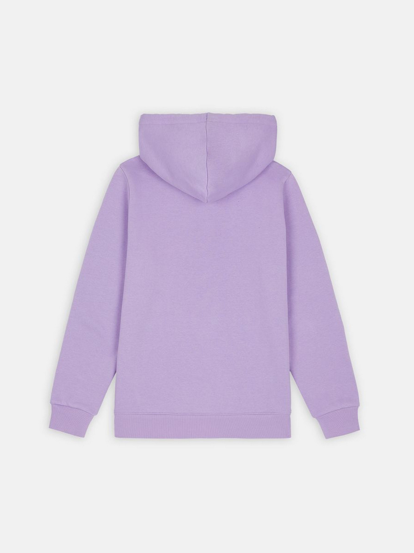 Худи Dickies Icon Logo модель DK0A4XCCE611 Фото