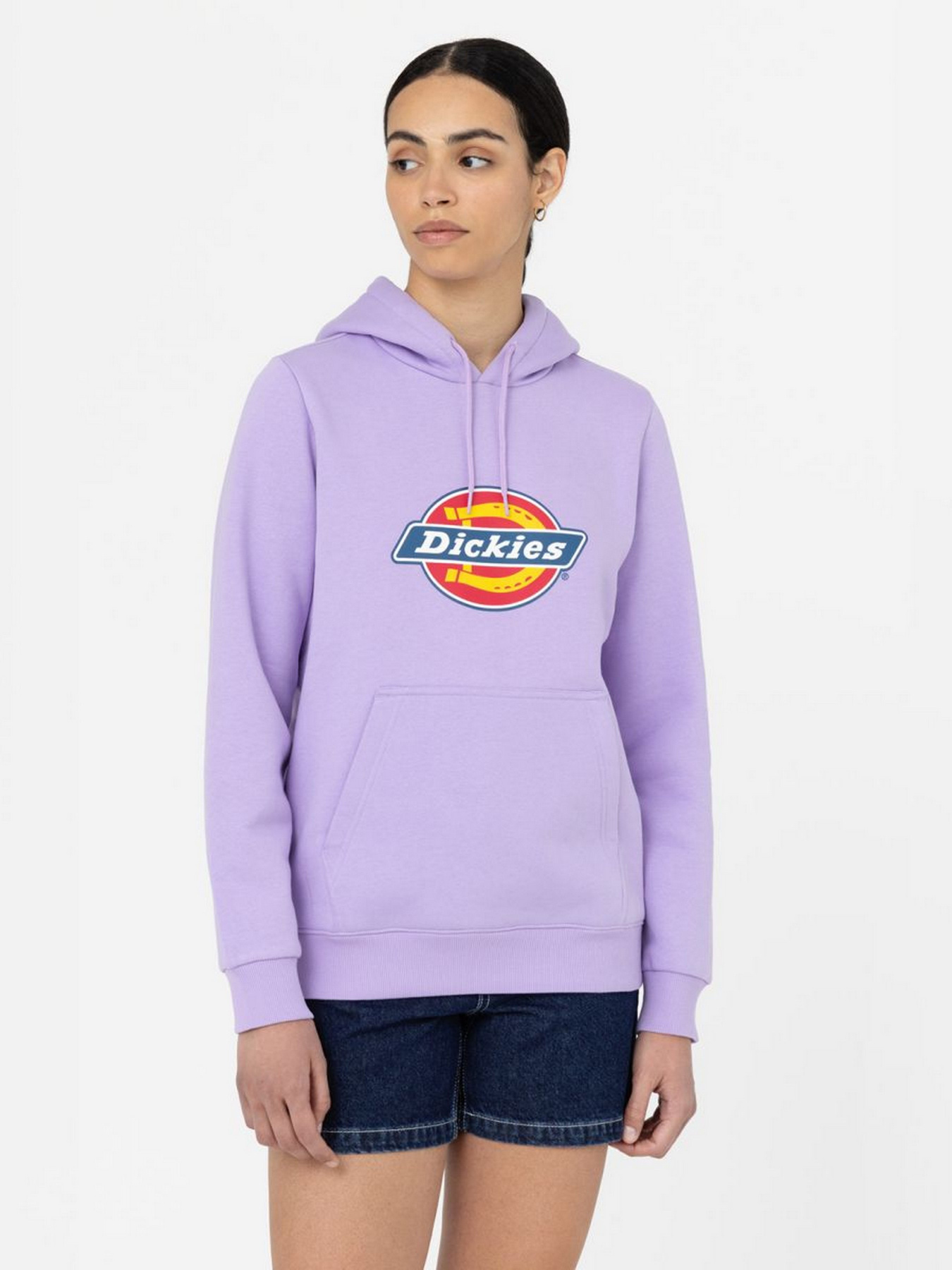 Худи Dickies Icon Logo модель DK0A4XCCE611 Фото