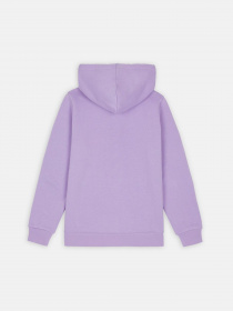 Худи Dickies Icon Logo модель DK0A4XCCE611 Фото