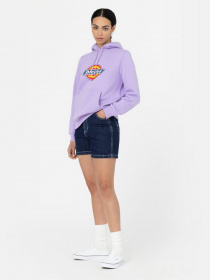 Худі Dickies Icon Logo модель DK0A4XCCE611 Фото