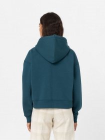 Кофта Dickies Oakport Zip модель DK0A4Y1ZF971 Фото