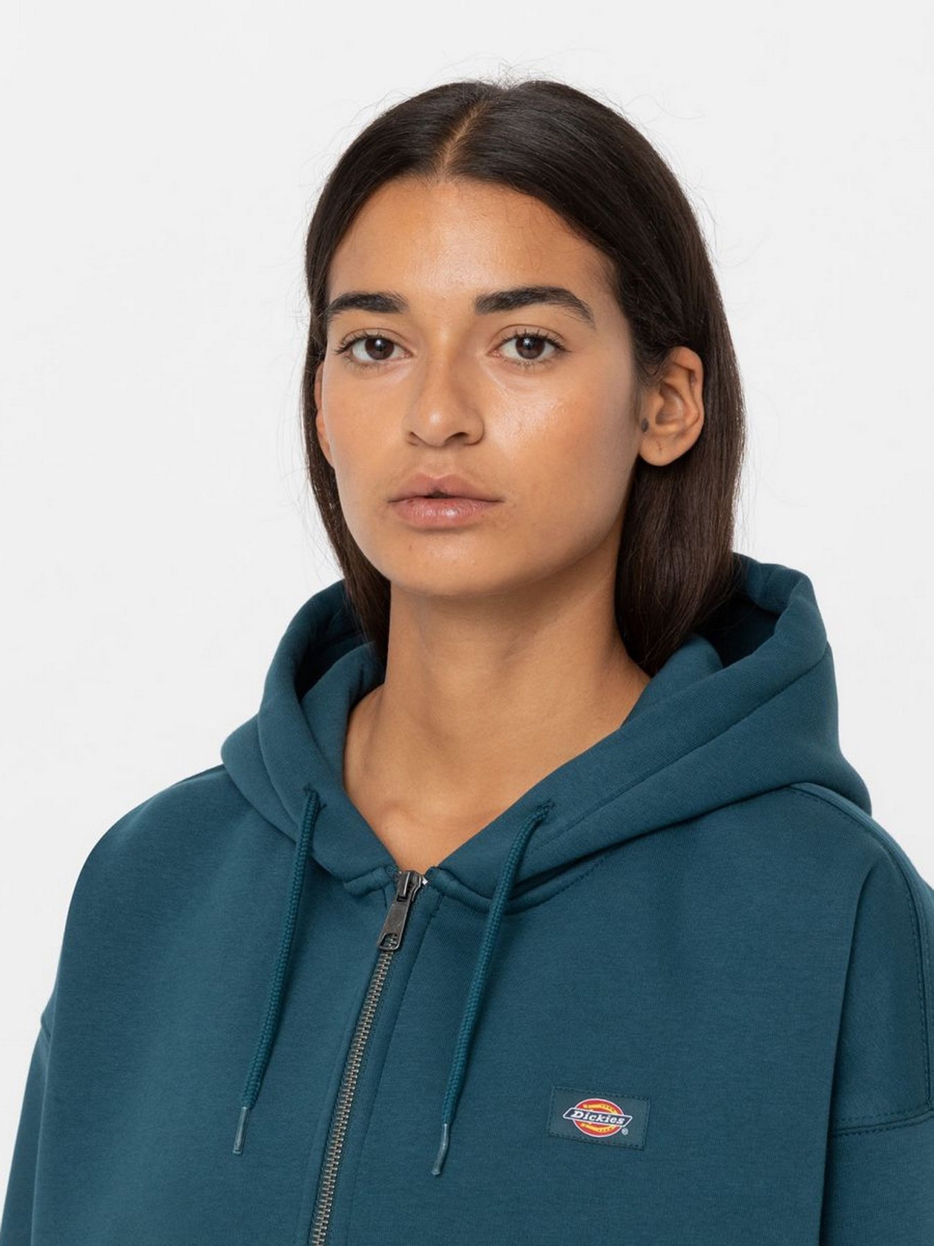 Кофта Dickies Oakport Zip модель DK0A4Y1ZF971 Фото