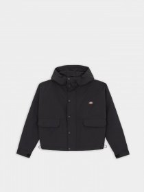 Демисезонная куртка Dickies Glacier View модель DK0A4Y3ZBLK1 Фото