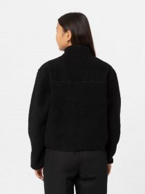 Кофта Dickies MOUNT HOPE FLEECE модель DK0A4YGNBLK1 Фото