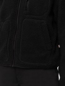 Кофта Dickies MOUNT HOPE FLEECE модель DK0A4YGNBLK1 Фото