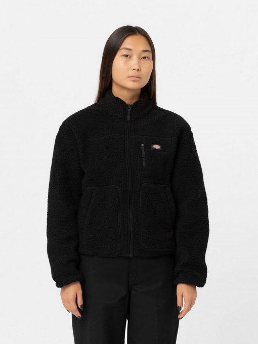 Флісова кофта Dickies MOUNT HOPE FLEECE модель DK0A4YGNBLK1 Фото