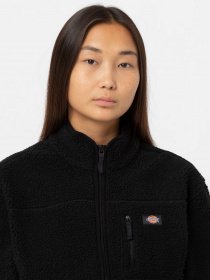Флісова кофта Dickies MOUNT HOPE FLEECE модель DK0A4YGNBLK1 Флісова кофта Dickies MOUNT HOPE FLEECE модель DK0A4YGNBLK1 Фото