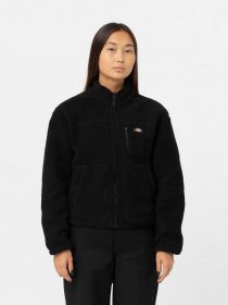 Флісова кофта Dickies MOUNT HOPE FLEECE модель DK0A4YGNBLK1 Фото
