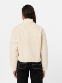 Кофта Dickies MOUNT HOPE FLEECE модель DK0A4YGNF901 Фото