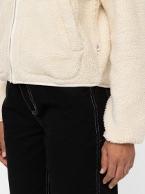 Флисовая кофта Dickies MOUNT HOPE FLEECE модель DK0A4YGNF901 Флисовая кофта Dickies MOUNT HOPE FLEECE модель DK0A4YGNF901 Фото