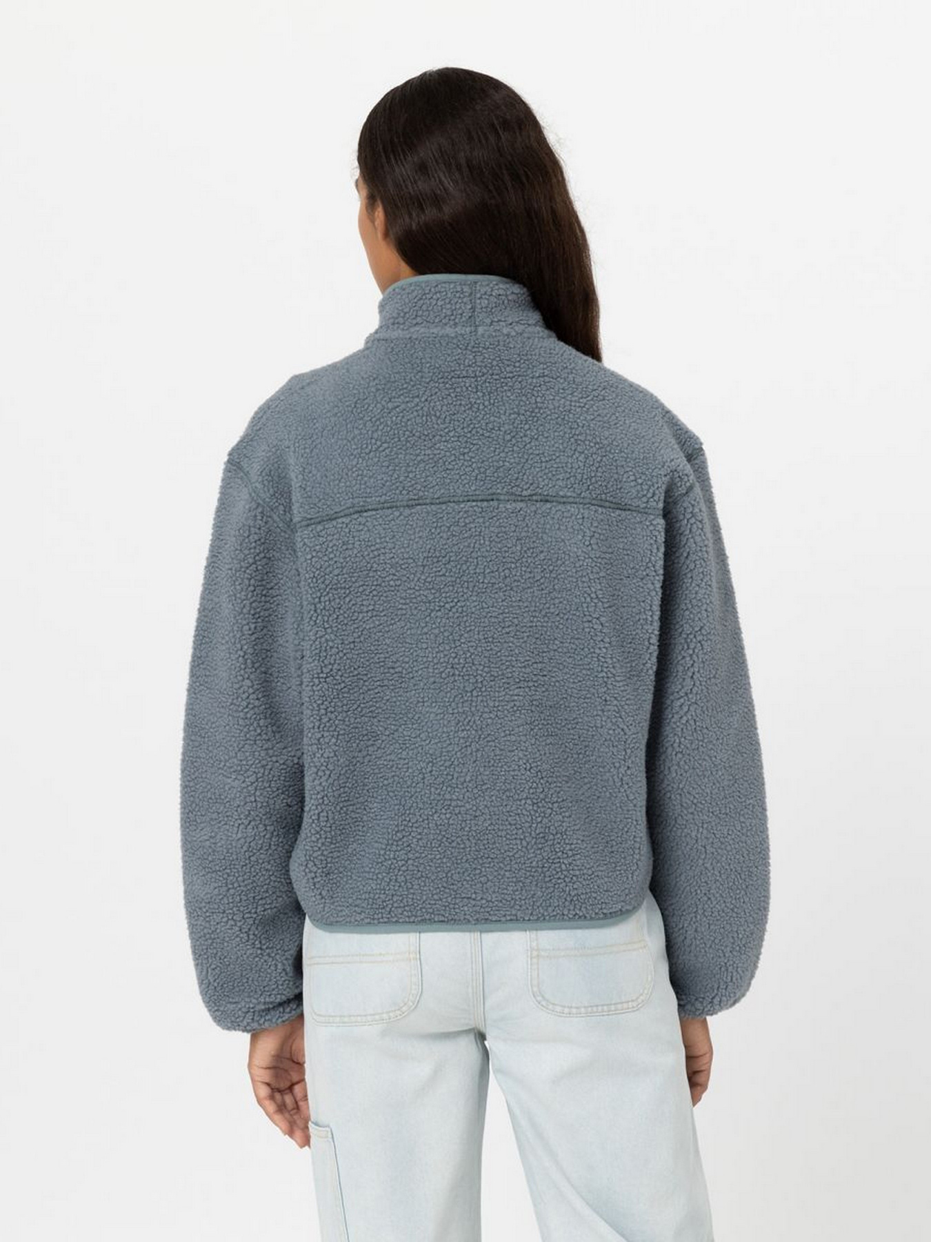 Кофта Dickies MOUNT HOPE FLEECE модель DK0A4YGNG071 Фото