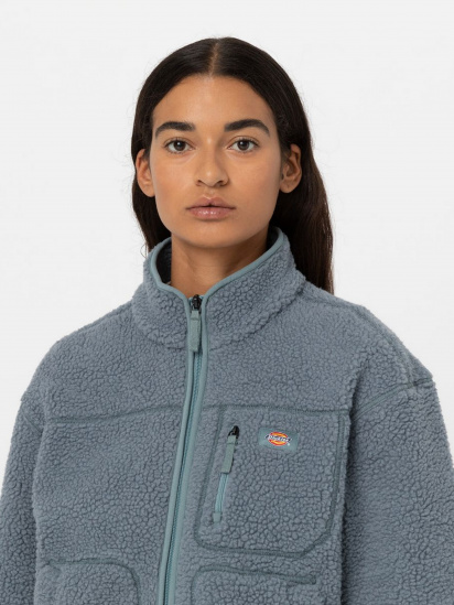 Кофта Dickies MOUNT HOPE FLEECE модель DK0A4YGNG071 — фото 4 - INTERTOP