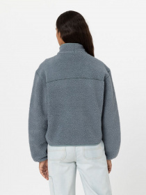 Флисовая кофта Dickies MOUNT HOPE FLEECE модель DK0A4YGNG071 Фото