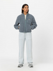 Флисовая кофта Dickies MOUNT HOPE FLEECE модель DK0A4YGNG071 Фото