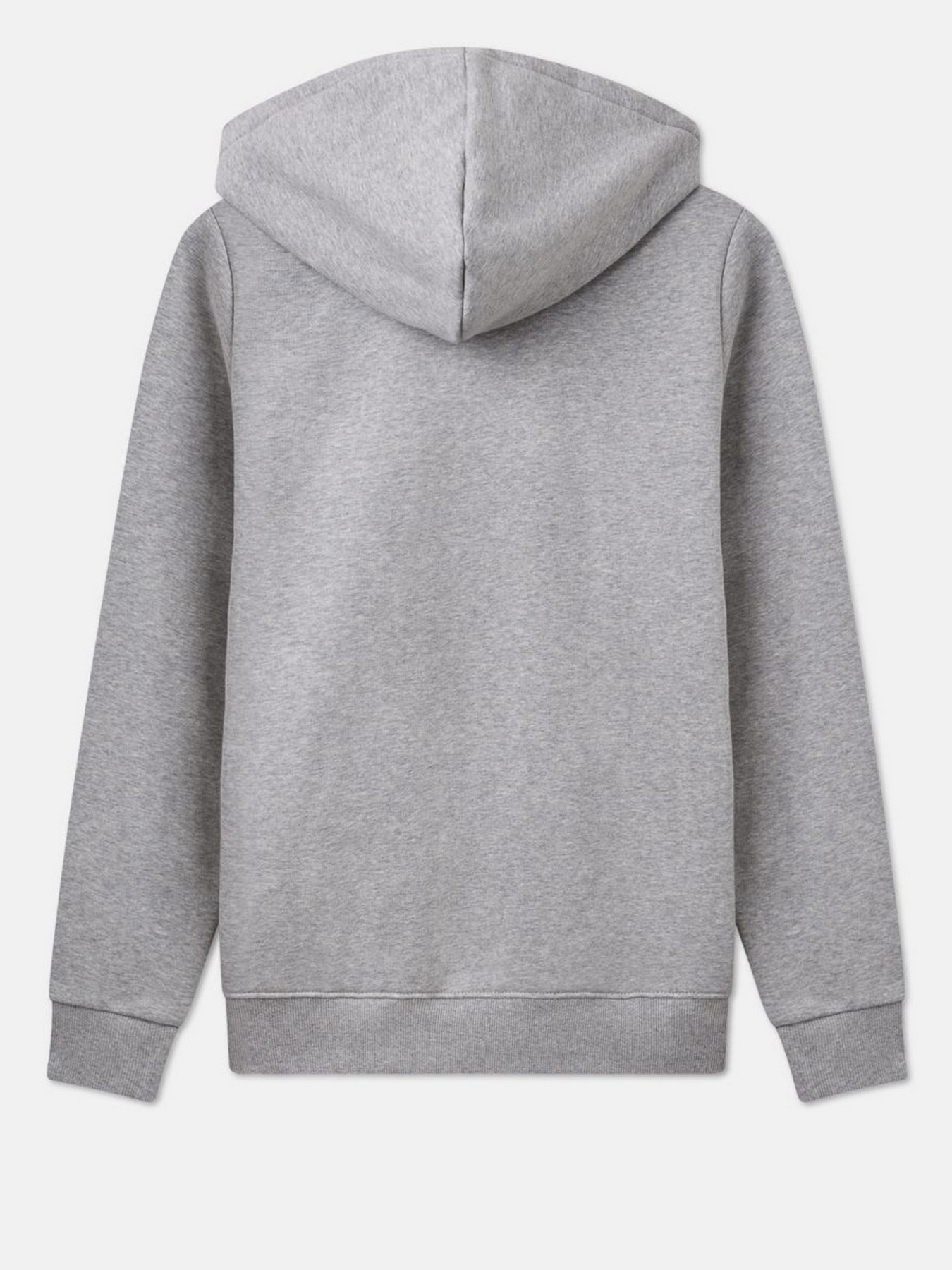 Худи Dickies Icon Logo модель DK0A4XCCGYM1 Фото