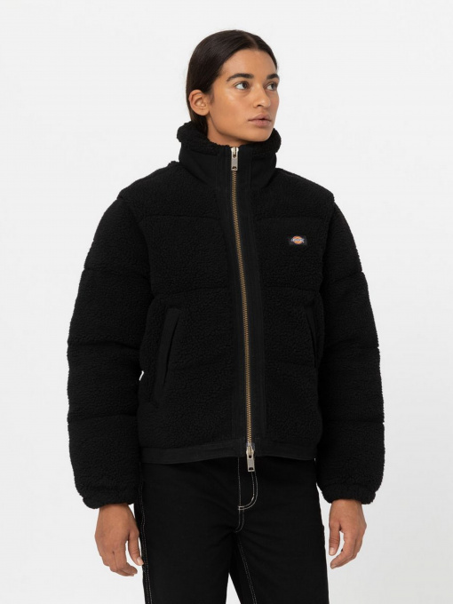 Зимняя куртка Dickies Mount Hope модель DK0A4YGYBLK1 Фото