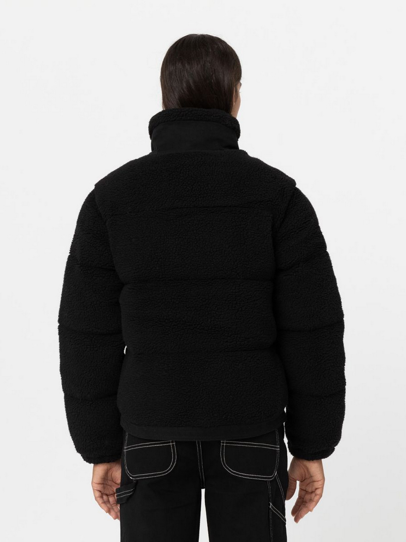 Зимова куртка Dickies Mount Hope модель DK0A4YGYBLK1 Фото