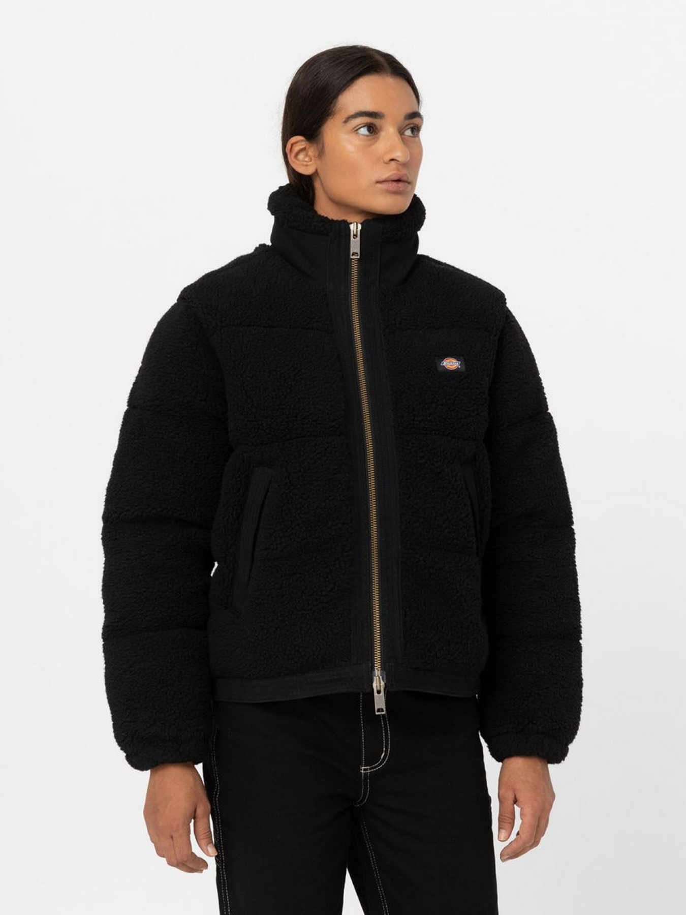 Зимова куртка Dickies Mount Hope модель DK0A4YGYBLK1 Фото