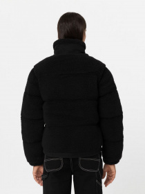 Зимова куртка Dickies Mount Hope модель DK0A4YGYBLK1 Фото