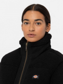 Зимова куртка Dickies Mount Hope модель DK0A4YGYBLK1 Фото