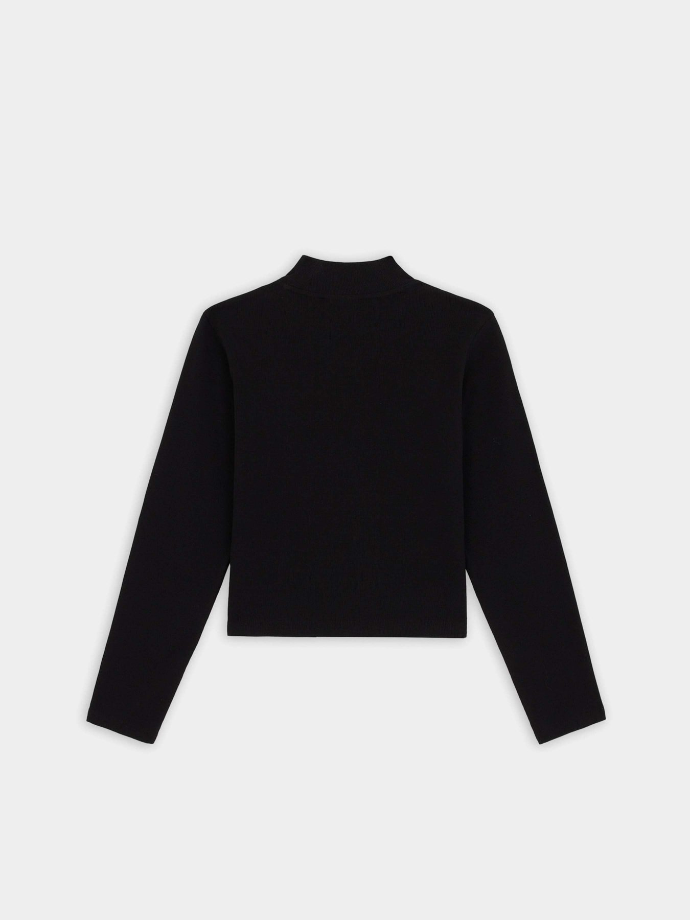 Водолазка Dickies Rysville модель DK0A4YHCBLK1 Фото