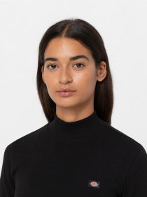 Водолазка Dickies Rysville модель DK0A4YHCBLK1 Фото